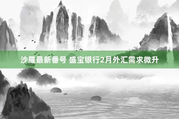 沙羅最新番号 盛宝银行2月外汇需求微升