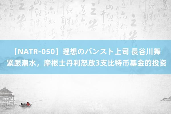 【NATR-050】理想のパンスト上司 長谷川舞 紧跟潮水，摩根士丹利怒放3支比特币基金的投资