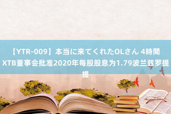 【YTR-009】本当に来てくれたOLさん 4時間 XTB董事会批准2020年每股股息为1.79波兰兹罗提