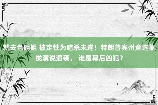 就去色姐姐 被定性为暗杀未遂！特朗普宾州竞选靠拢演说遇袭， 谁是幕后凶犯？