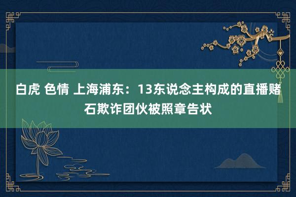 白虎 色情 上海浦东：13东说念主构成的直播赌石欺诈团伙被照章告状