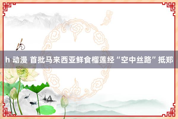 h 动漫 首批马来西亚鲜食榴莲经“空中丝路”抵郑