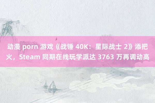 动漫 porn 游戏《战锤 40K：星际战士 2》添把火，Steam 同期在线玩学派达 3763 万再调动高